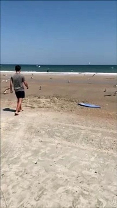 Il réussit à attraper une mouette d'une façon incroyable