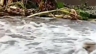 Após forte chuva, barragem rompe e água assusta moradores de cidade no Ceará