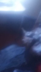 saying shut up to my sister ( she was crying)