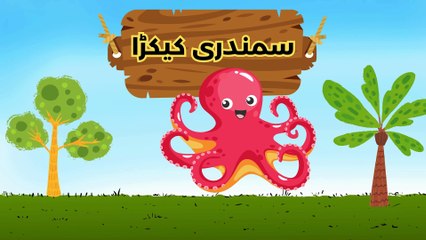 Animal Learning for Children in Urdu | janwaron ke naam in Urdu | Nursery Rhyme