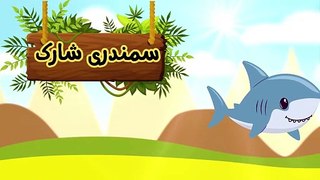 Animal Learning for Kids in Urdu | animals ke naam in Urdu Kids Song