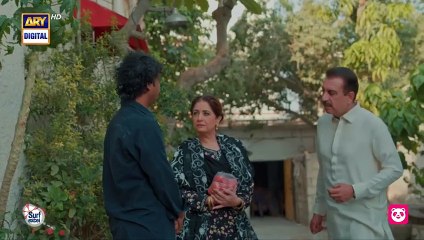 Burns Road Kay Romeo Juliet Episode 15  ARY Digital