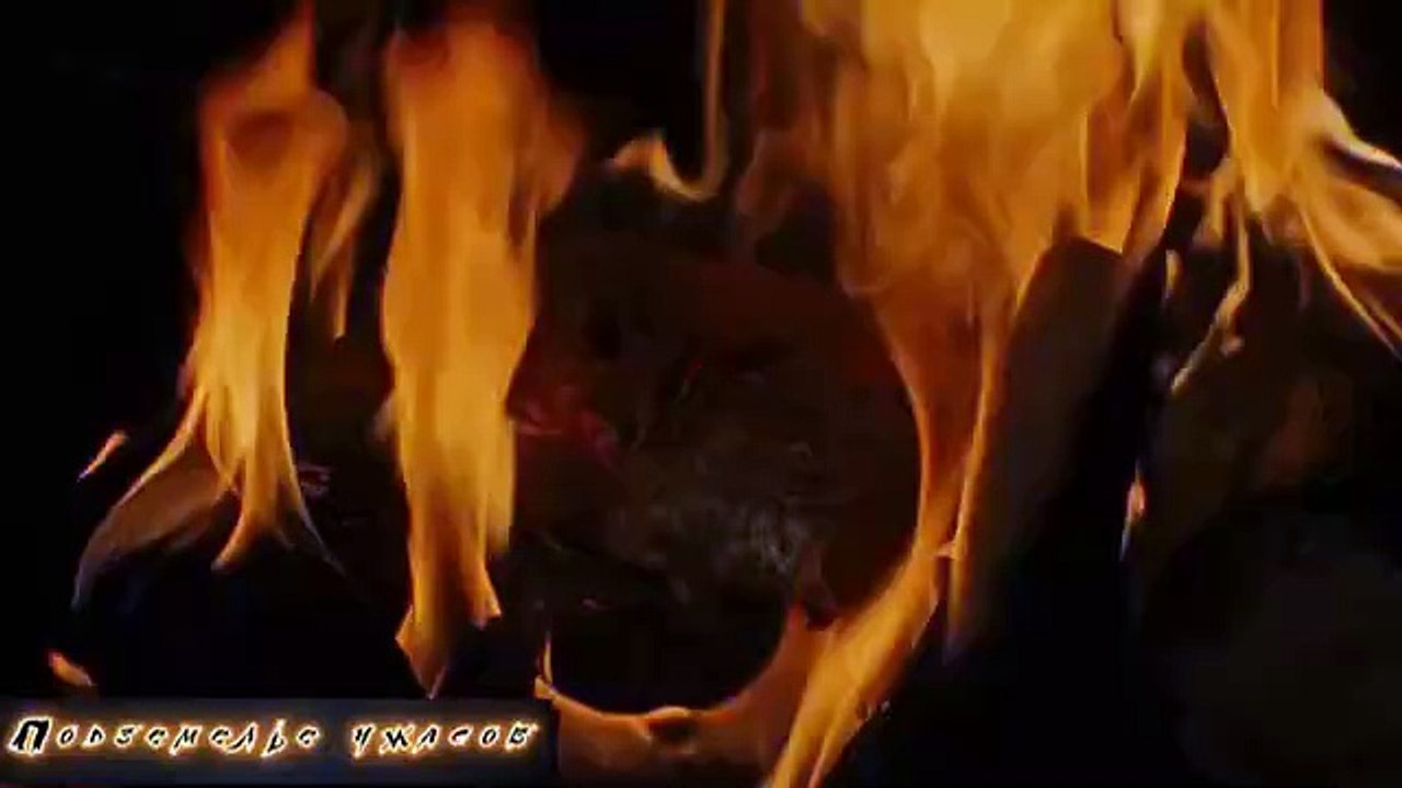 Зловещие мертвецы  the evil dead (1982)