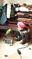 Kid feeding a parrot #viral #trending #foryou #reels #beautiful #love #funny #delicious #fun #love #yummy