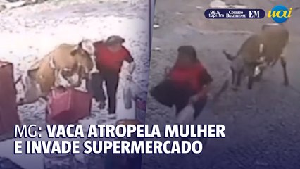 Vaca invade supermercado após atropelar mulher no norte de Minas