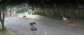 Vídeo mostra Silvia Poppovic sendo agredida durante assalto em bairro rico de SP