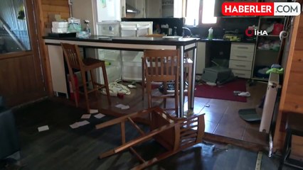 Artvin'de aç kalan ayılar kayak tesisine dadandı