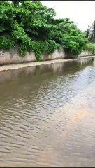 Grande volume de chuva alaga completamente rua na Praia do Flamengo