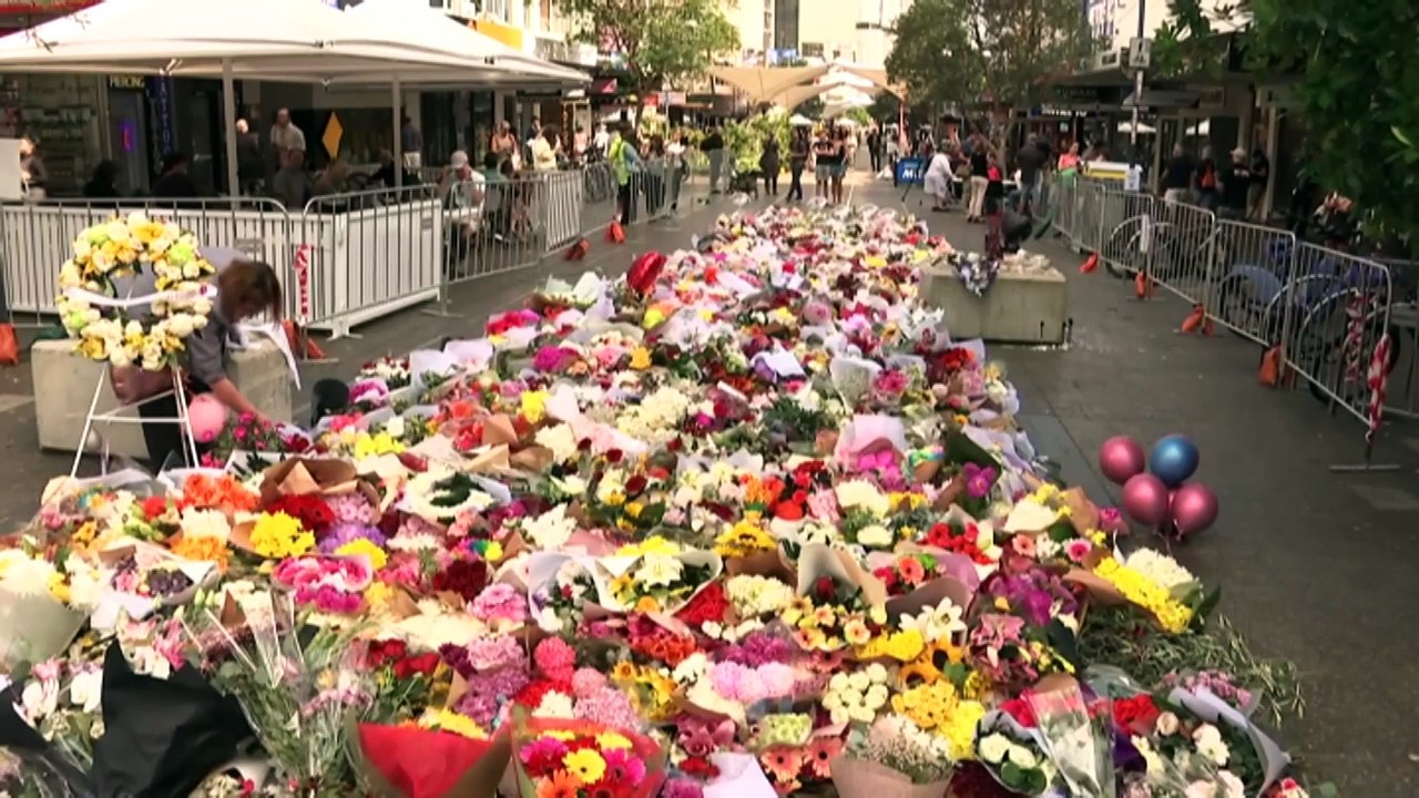 Damien Guerot, who fought off Bondi Junction attacker with bollard, to be granted permanent residency, lawyer says