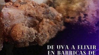 José Antonio Haua Maauad- El vino en barricas: Una sinfonía de aromas y sabores: