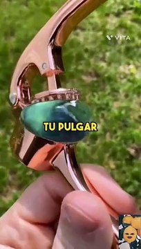 #curiosidades #curiosos #interesante #cosasquenosabiascuriosidades #