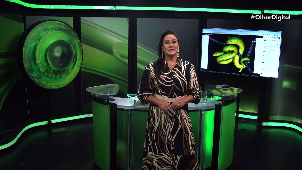 Câmera de segurança protege a casa atirando bolinhas de paintball