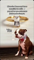 #memes #memesvideo #memestagram #humor #memeshorts #memesdaily #jajaja #novios #memesvideo #meme