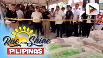 PBBM,  ininspeksyon ang higit P13-B halaga ng iligal na droga na nakumpiska sa Batangas; Kampanya vs. iligal na droga, palalakasin pa