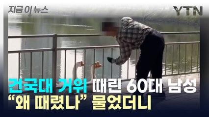 건국대 거위 때린 60대, "왜 때렸나" 물었더니... [지금이뉴스] / YTN