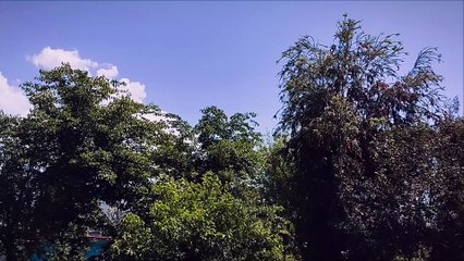 Natural beauty of kashmir