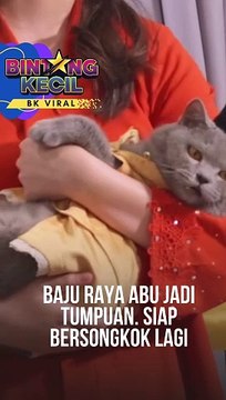 Hish!! Geram betul tengok Abu ni.. Elok je bersongkok.. Warna baju raya kucing korang warna apa? #bintangkecil #catlover #cat
