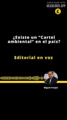 Editorial | ¿Existe un "Cartel ambiental" en el país?