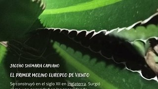 -Jacobo Shemaria Capuano- ¿Quiénes son los primeros en favorecer las energías renovables? (Parte 1) (Creado por @JacoboShemariaCapuano)