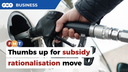 Subsidy rationalisation move gets qualified approval