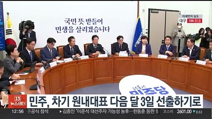 민주, 차기 원내대표 다음달 3일 선출하기로