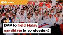 DAP to field Malay candidate for Kuala Kubu Baharu by-election?