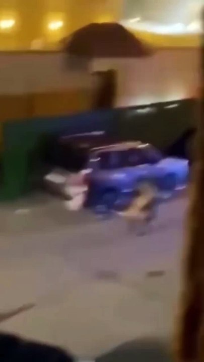 I AM A TIGER NOT A CAT|A WOMAN FEARLESSLY CARRIES A TIGER LIKE A CAT