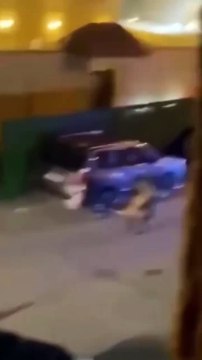 I AM A TIGER NOT A CAT|A WOMAN FEARLESSLY CARRIES A TIGER LIKE A CAT