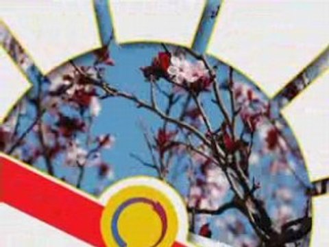 Chauffage electrique/pompe à chaleur