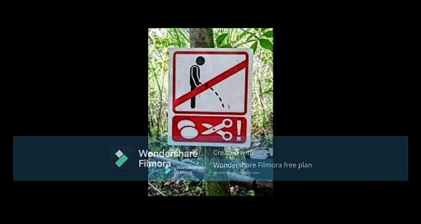 weeks best meme Collection | Friday jokes | Too Funny | Viral Comedy Video | Memes | Comedy Video