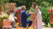 ‘Golden Bachelor’ Couple Gerry Turner & Theresa Nist Divorcing After 3 Months of