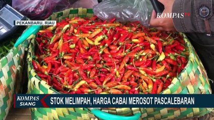 Stok Melimpah, Harga Cabai di Pekanbaru Merosot Pascalebaran