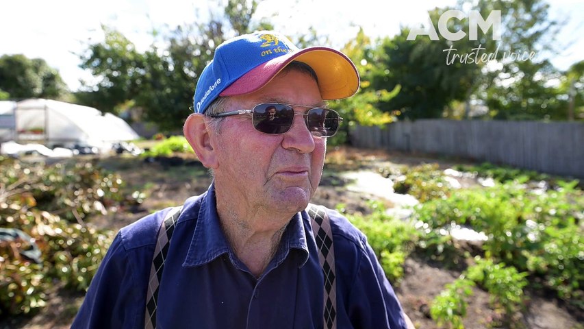 Hamish Geale talks to retired Allan's Nursery founder Bill Allan, who is donating a garden full of pumpkins to the Salvation Army.