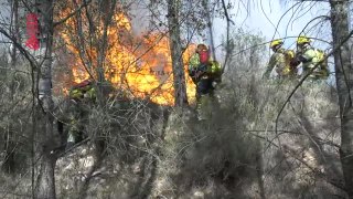 Se da por estabilizado el incendio de Tárbena (Alicante)