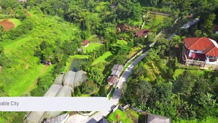 The Challenges of Today's World: A Sustainable Solution