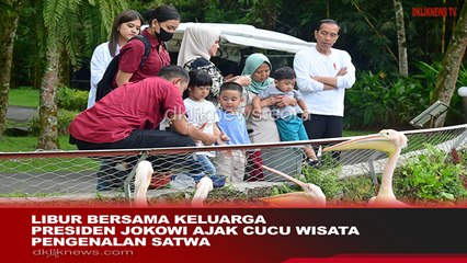 Momen Presiden Jokowi Ajak Cucu Wisata Pengenalan Satwa