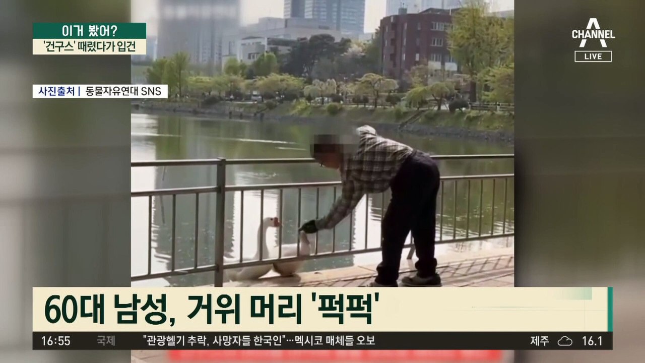 ‘건구스’ 때렸다가 경찰에 입건 ‘큰코’