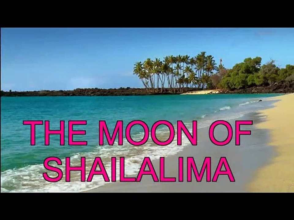 ''THE MOON OF SHAILALIMA '' ( LEO BENNINK  POP /INSTRUMENTAL )