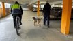 Homeless dog rescued from Birmingham city centre multi-storey car park