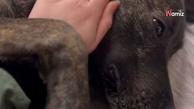 To nagranie trwa tylko 17 sekund, ale wywołuje wzruszenie, które ściska za gardło