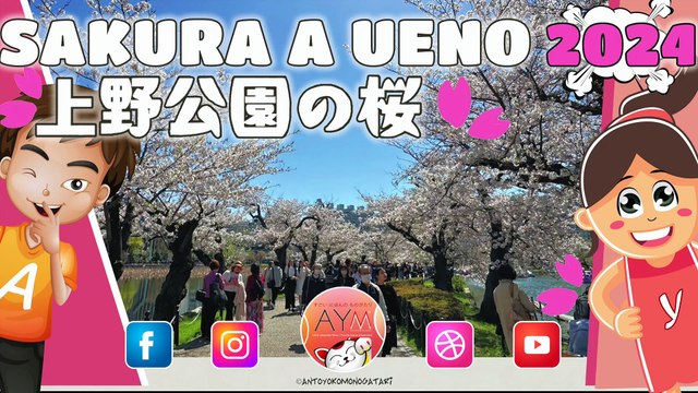 Passeggiata nel Parco di Ueno a Tokyo per vedere l’HANAMI! SAKURA at Ueno Park! 上野恩賜公園　桜まつり