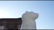 Clima, un orso di ghiaccio a Piazza Castello a Torino