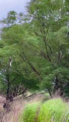 I stayed in this place for a long time that day