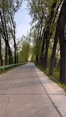 It feels good to walk on a small road like this