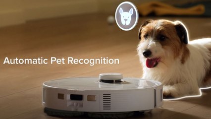 Roborock Qrevo MaxV: Der smarte Staubwischroboter mit Sprachsteuerung & Ecken-Arm 🚀