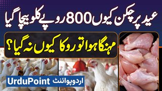 Eid Par Chicken 800 Per KG Kyu Sale Kiya Gaya? Price Control Kyu Nahi Ki Gai? Chicken Price Today