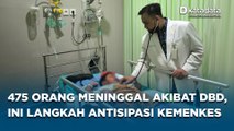 Begini Langkah Kementerian Kesehatan untuk Antisipasi Kasus Kematian 475 Jiwa Akibat Demam Berdarah