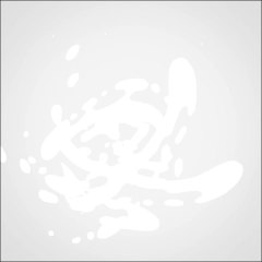 MASCOTE COLÉGIO ANGLO