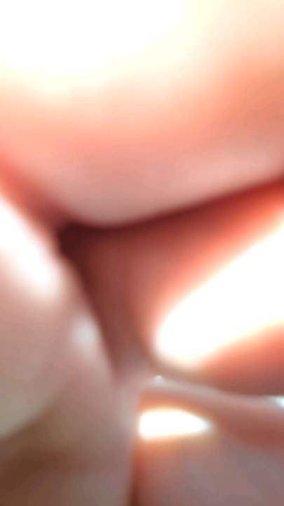 Washington. auf dem Weg zum Arlington cementary