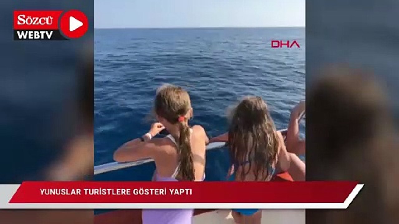 Yunuslar turistlere gösteri yaptı